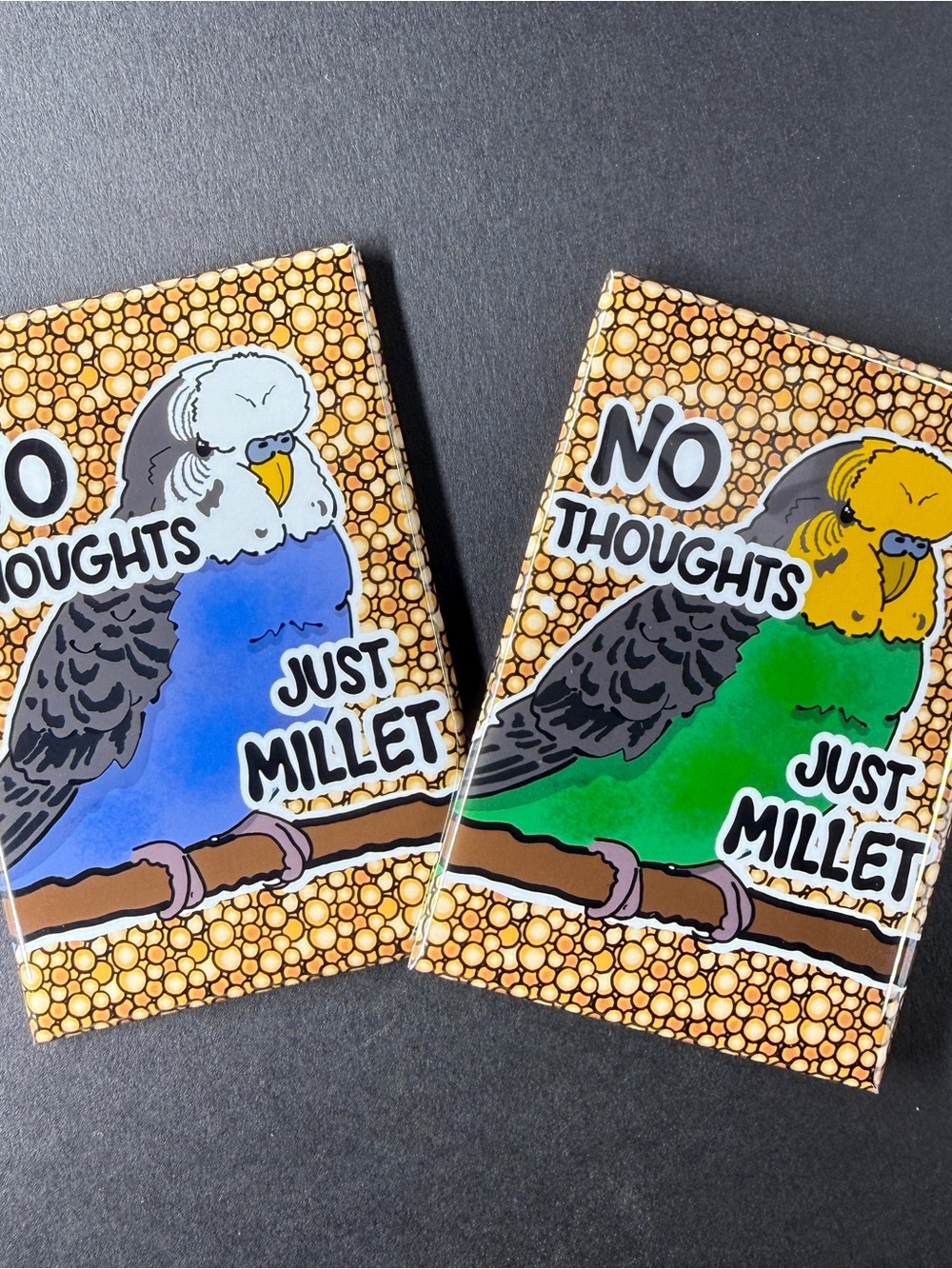 Budgie Parakeet Bird Funny Magnet Handmade Pet Portrait Art Decor Gift 2x3